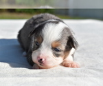Image preview for Ad Listing. Nickname: Chyna