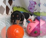 Image preview for Ad Listing. Nickname: Princess