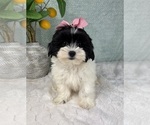 Image preview for Ad Listing. Nickname: Sally
