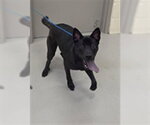 Small Lab Pei