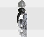 Small Boxer
