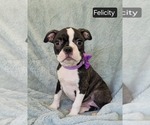 Image preview for Ad Listing. Nickname: Felicity