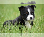 Image preview for Ad Listing. Nickname: Atlas