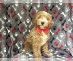 Image preview for Ad Listing. Nickname: Spud