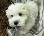 Image preview for Ad Listing. Nickname: Crumbl