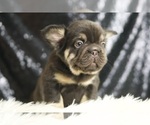 Image preview for Ad Listing. Nickname: Alexa