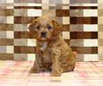 Image preview for Ad Listing. Nickname: Dylan