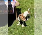 Small #2 Breeder Profile image