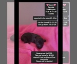 Image preview for Ad Listing. Nickname: Storm