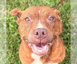 Small #3 Breeder Profile image