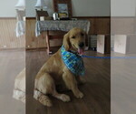 Image preview for Ad Listing. Nickname: COFFEE