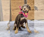 Small #6 Mutt
