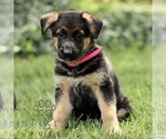 Image preview for Ad Listing. Nickname: Tiana
