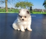 Image preview for Ad Listing. Nickname: Finn