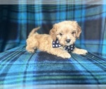 Image preview for Ad Listing. Nickname: Lane
