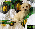 Image preview for Ad Listing. Nickname: No name