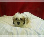 Image preview for Ad Listing. Nickname: BUCK