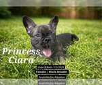 Image preview for Ad Listing. Nickname: Princess Ciara