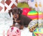 Image preview for Ad Listing. Nickname: Ike
