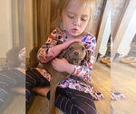 Small #3 Mutt