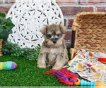 Image preview for Ad Listing. Nickname: Sandy