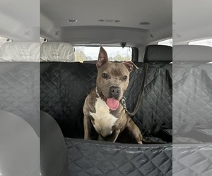Main medium Rescue Organization Photo