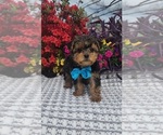 Image preview for Ad Listing. Nickname: Rupert