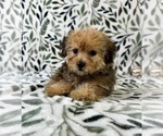 Image preview for Ad Listing. Nickname: Sydney