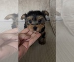 Image preview for Ad Listing. Nickname: REMMIE