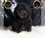 Image preview for Ad Listing. Nickname: Vickie