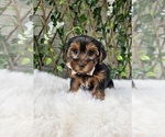 Image preview for Ad Listing. Nickname: Baxter