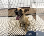 Small #2 Mutt
