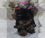Image preview for Ad Listing. Nickname: Annie