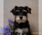 Image preview for Ad Listing. Nickname: Jacey
