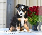 Image preview for Ad Listing. Nickname: Brenda