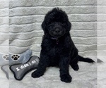 Image preview for Ad Listing. Nickname: Velvet