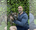 Small #3 Rhodesian Ridgeback Mix