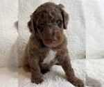 Image preview for Ad Listing. Nickname: Baron