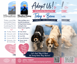 Small #1 Cavalier King Charles Spaniel