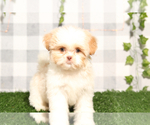 Image preview for Ad Listing. Nickname: Nicole
