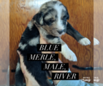 Image preview for Ad Listing. Nickname: River