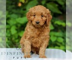 Image preview for Ad Listing. Nickname: Layton