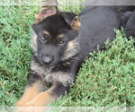 Image preview for Ad Listing. Nickname: Purple