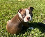 Image preview for Ad Listing. Nickname: Sweet Girl
