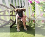 Image preview for Ad Listing. Nickname: VIOLET