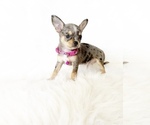Image preview for Ad Listing. Nickname: Maui