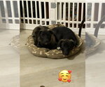 Small #2 Labsky