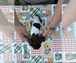  - Photo #5