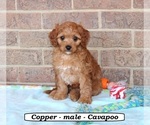 Image preview for Ad Listing. Nickname: Copper