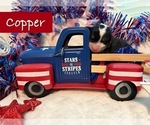 Image preview for Ad Listing. Nickname: Copper